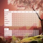 IXORA-MD14-KID-SIZE-CHART-min-min